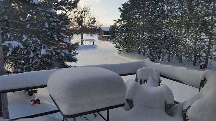 Katawoda Cottage Resort Nobel Cameră foto